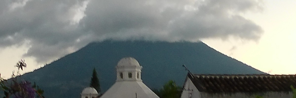 Portada Tienda de Noel Carrascal